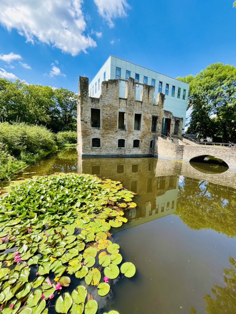 Schlosspark Weitmar im Sommer.