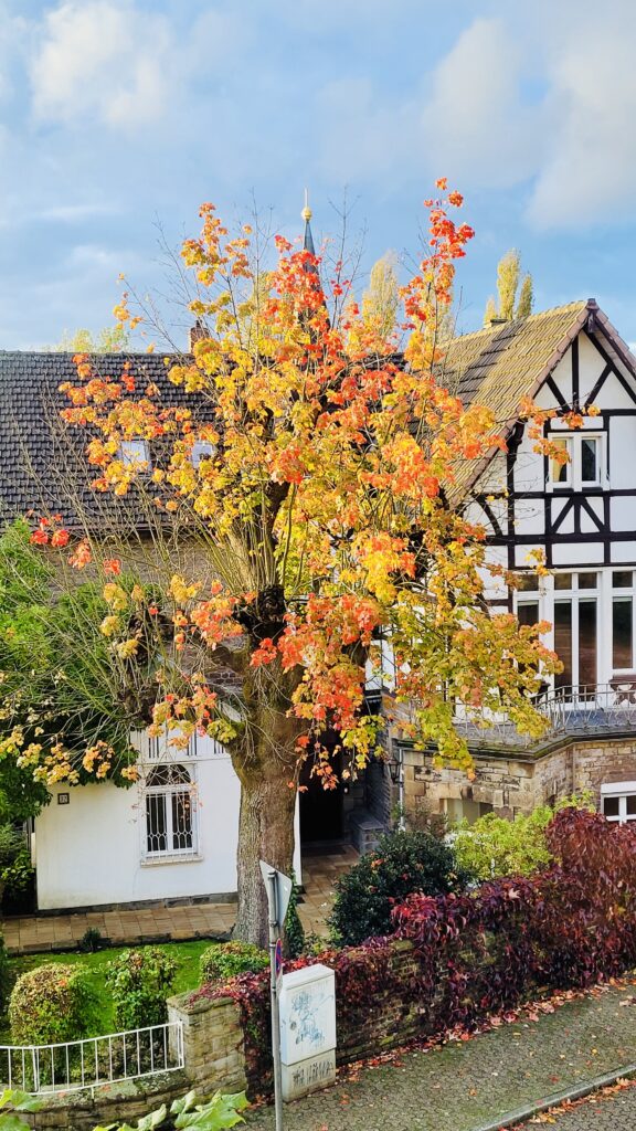 Dahlhauser Fachwerkvilla im Herbst